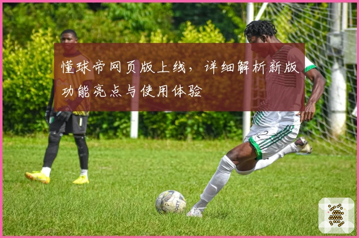 懂球帝网页版上线，详细解析新版功能亮点与使用体验