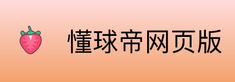 懂球帝网页版 Logo